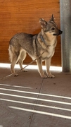 LOBITA Image 2